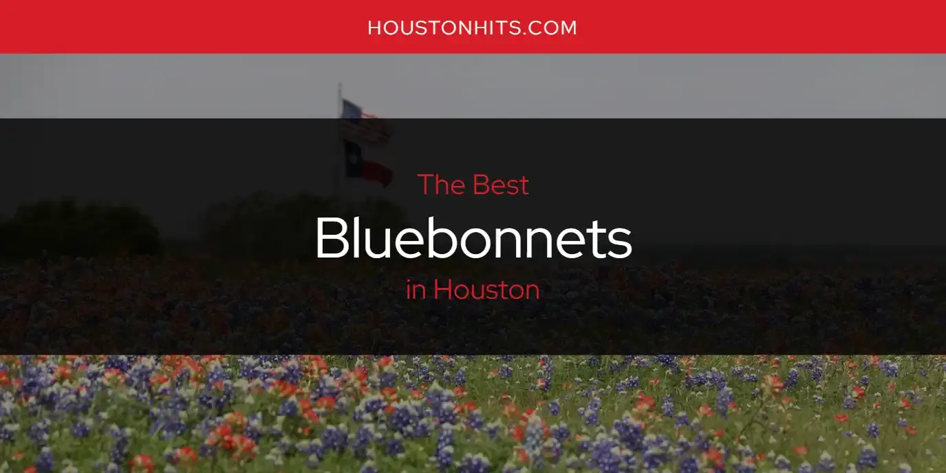 The Absolute Best Bluebonnets in Houston  [Updated 2024]
