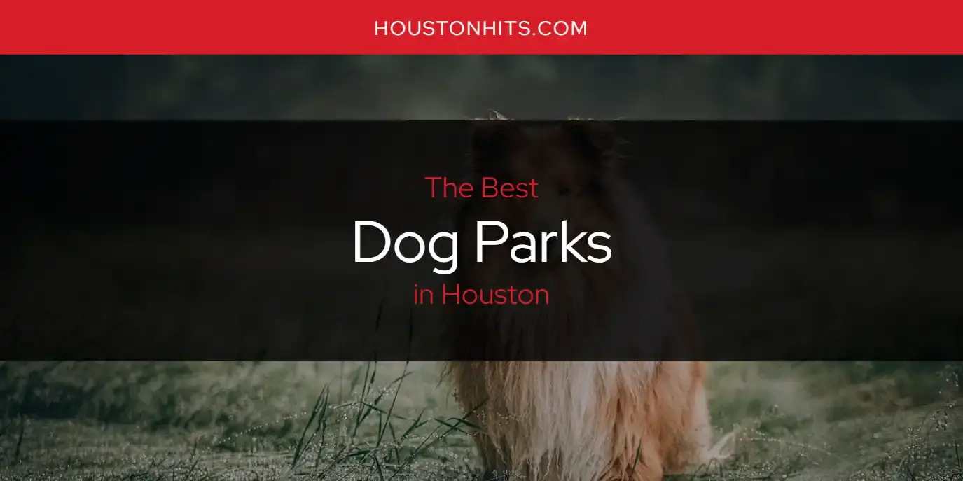 The Absolute Best Dog Parks in Houston  [Updated 2024]