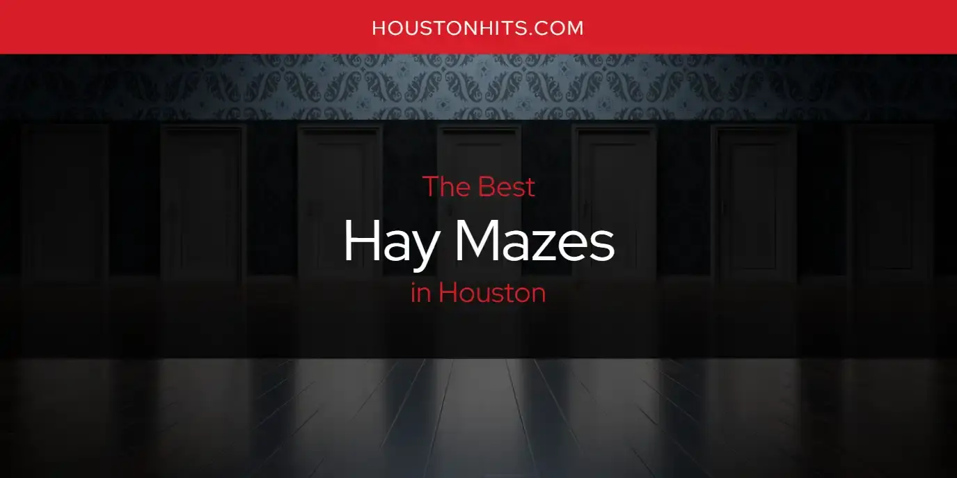 The Absolute Best Hay Mazes in Houston  [Updated 2024]