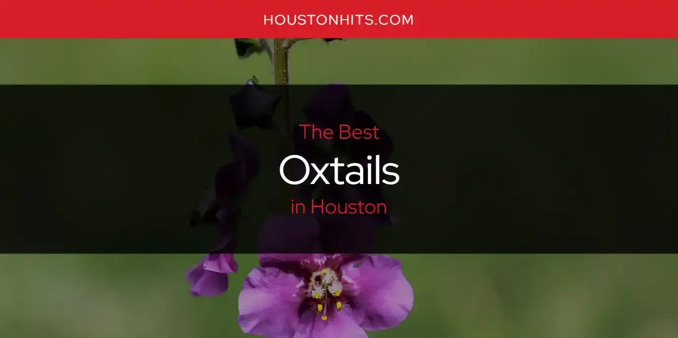 Houston's Best Oxtails [Updated 2024]