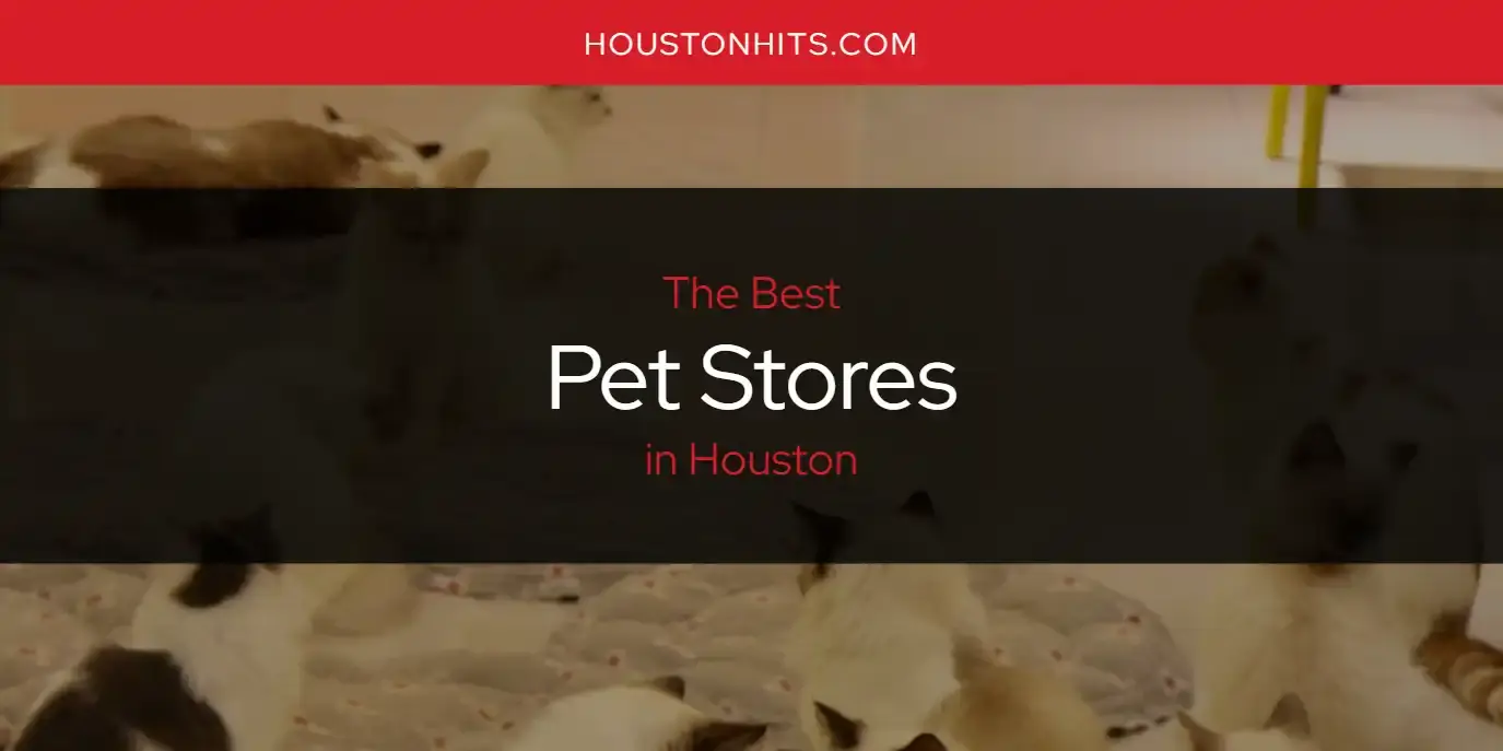 Houston's Best Pet Stores [Updated 2024]