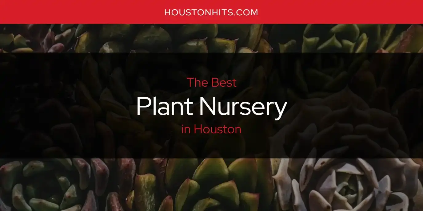 Houston's Best Plant Nursery [Updated 2024]