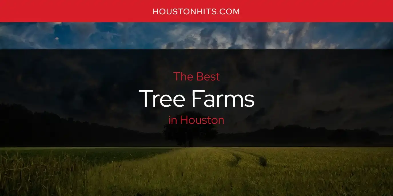 Houston's Best Tree Farms [Updated 2024]