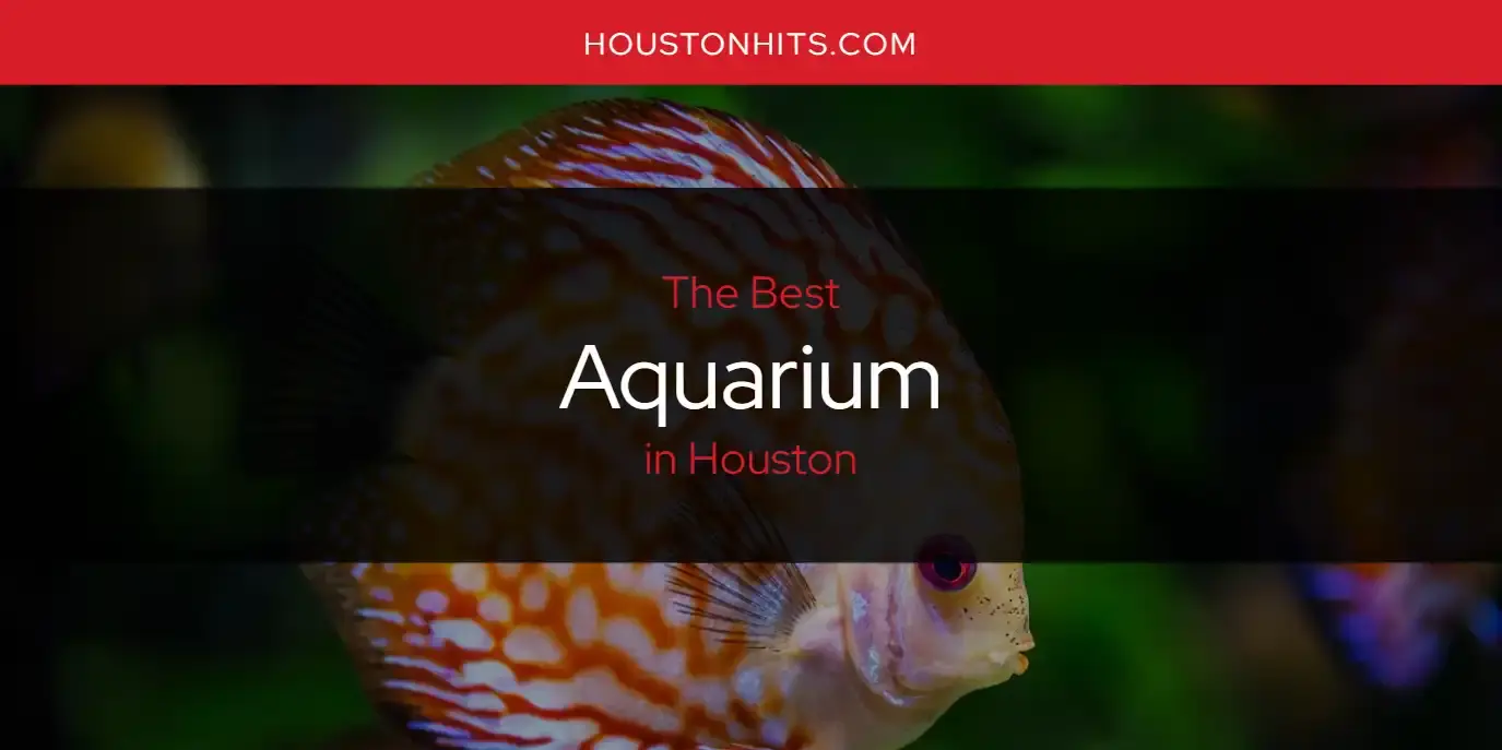 The Absolute Best Aquarium in Houston  [Updated 2024]