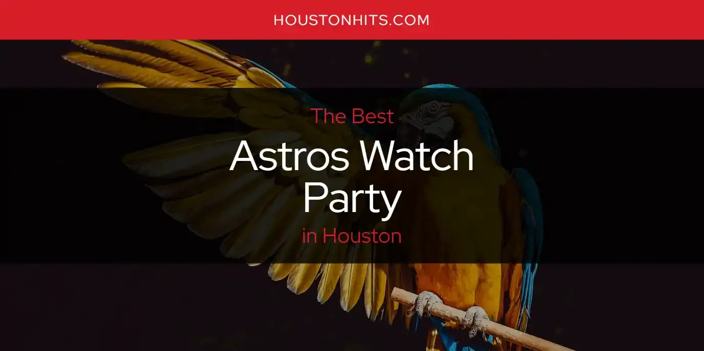 The Absolute Best Astros Watch Party in Houston  [Updated 2024]