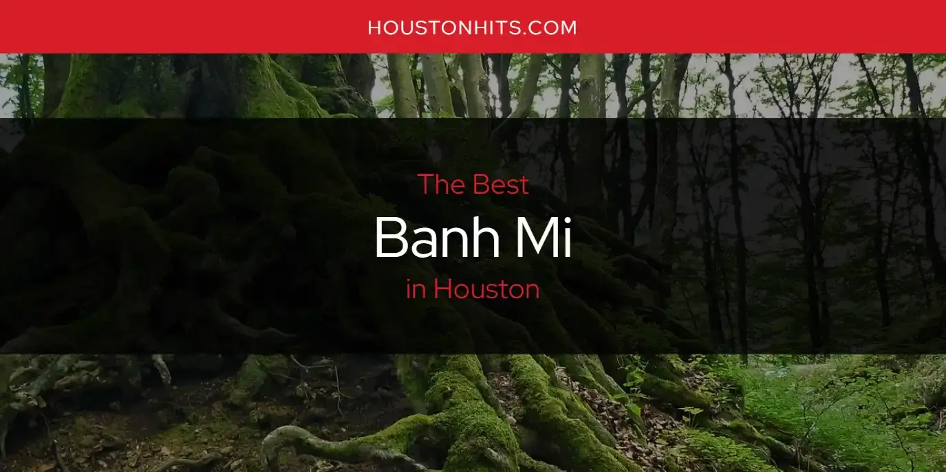 The Absolute Best Banh MI in Houston  [Updated 2023]