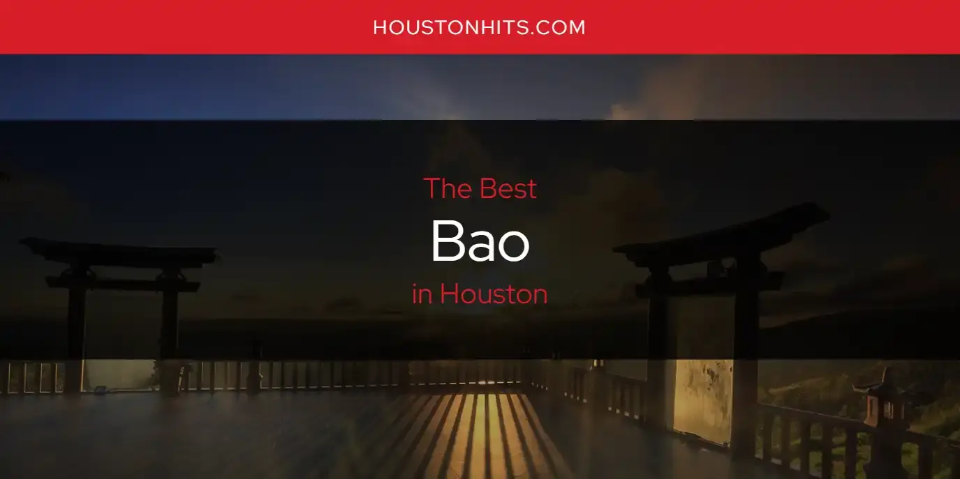 The Absolute Best Bao in Houston  [Updated 2024]