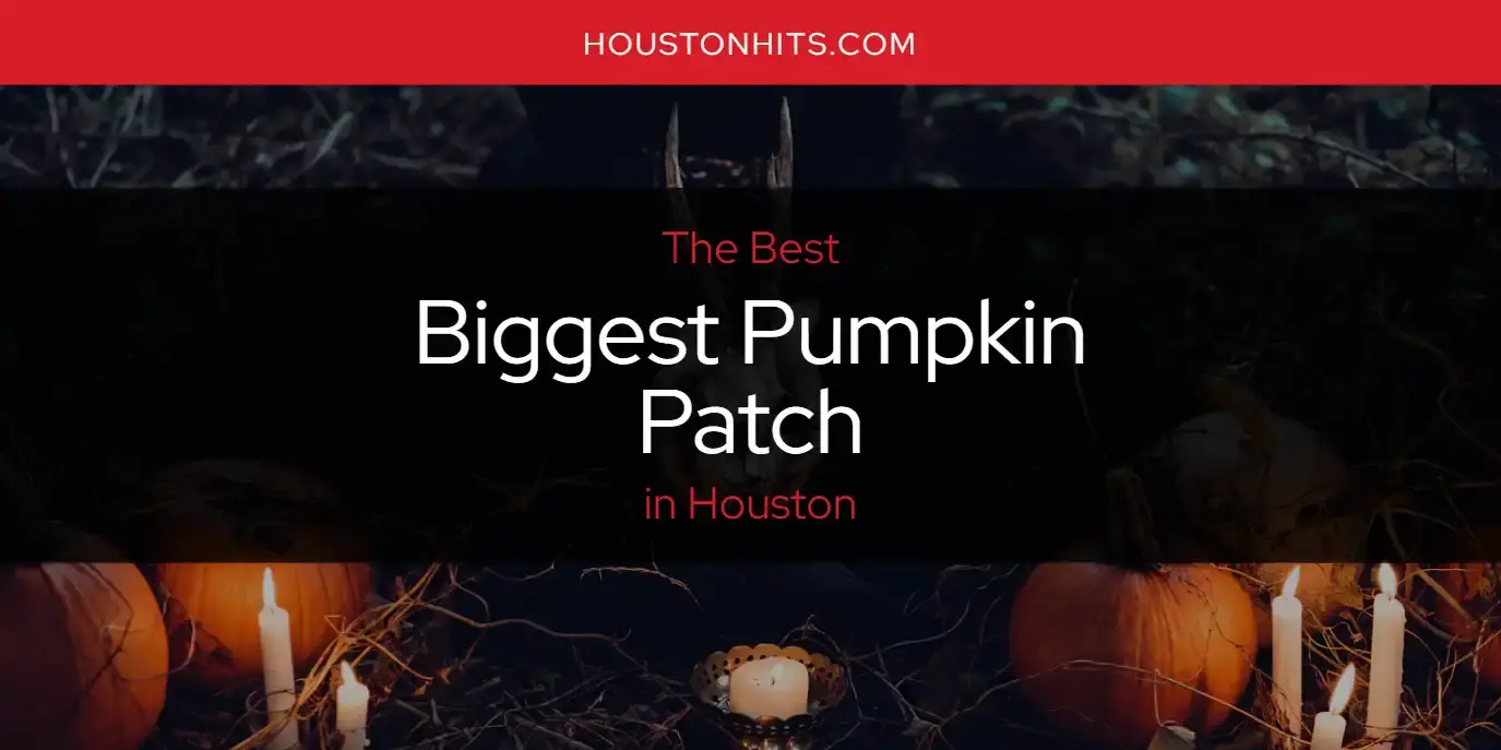 The Absolute Best Biggest Pumpkin Patch in Houston  [Updated 2023]