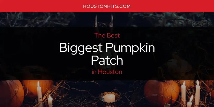 The Absolute Best Biggest Pumpkin Patch in Houston  [Updated 2024]