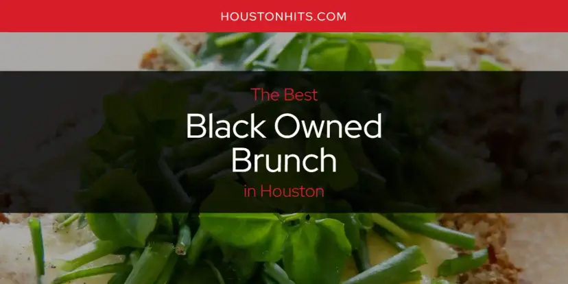 The Absolute Best Black Owned Brunch in Houston  [Updated 2024]