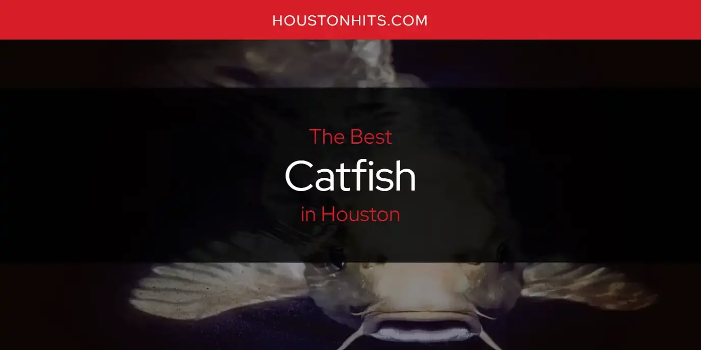 The Absolute Best Catfish in Houston  [Updated 2023]