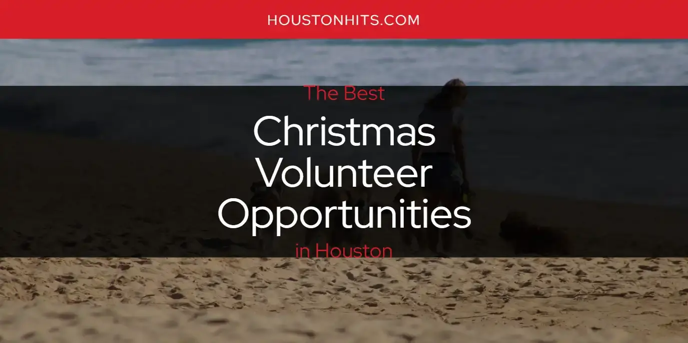 The Absolute Best Christmas Volunteer Opportunities in Houston  [Updated 2024]