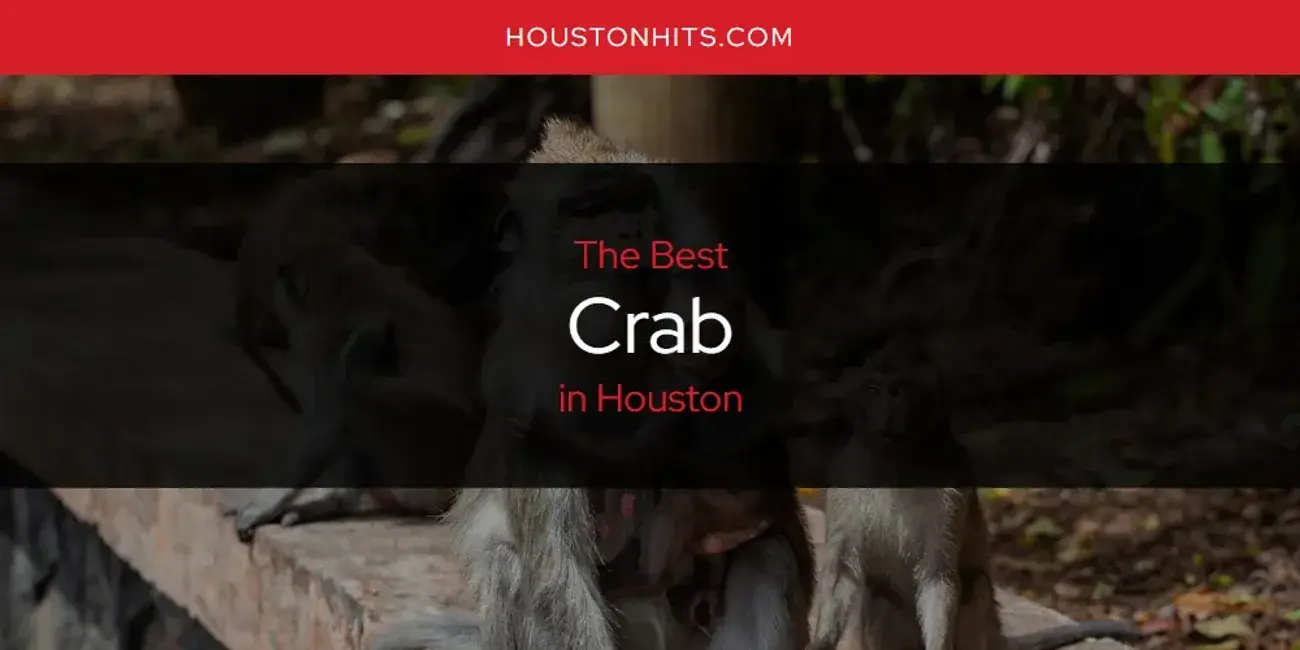 The Absolute Best Crab in Houston  [Updated 2023]
