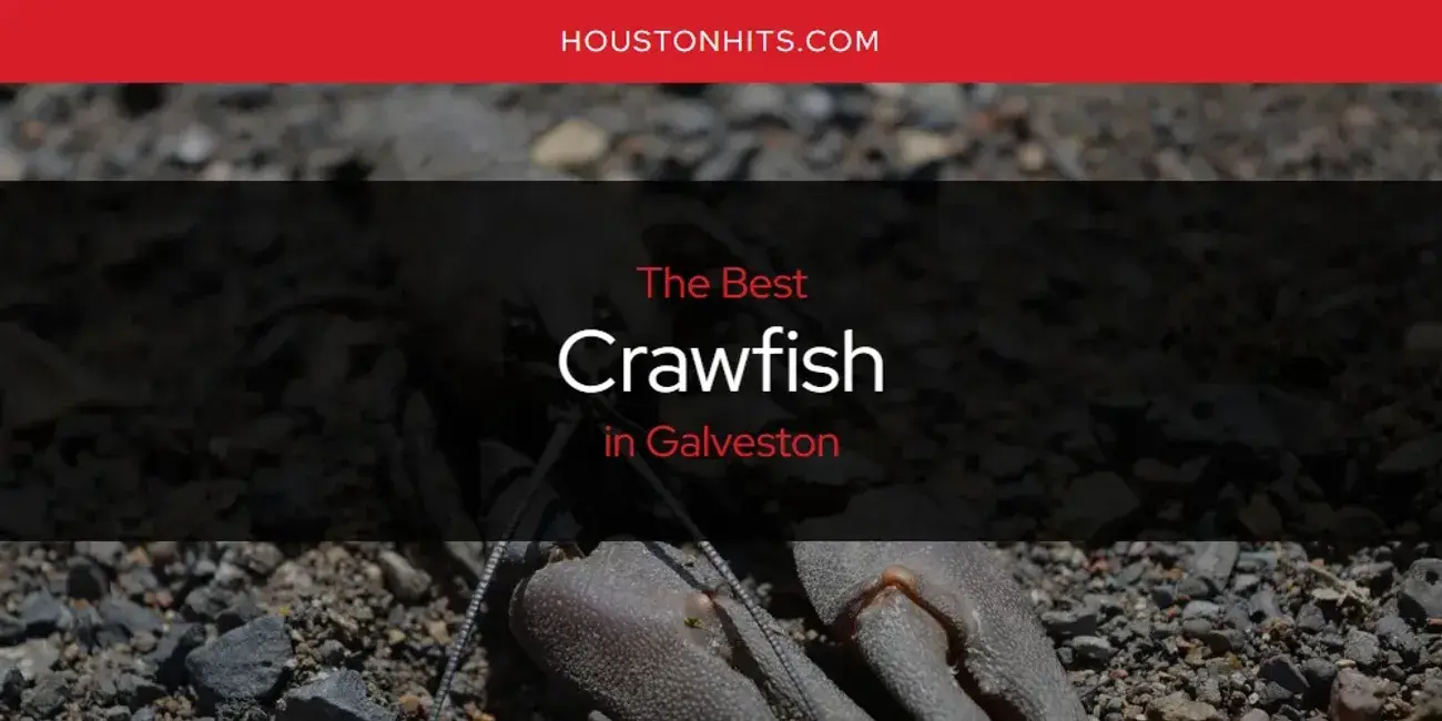 The Absolute Best Crawfish in Galveston  [Updated 2023]