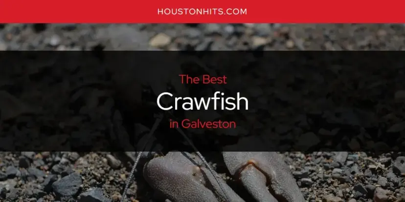 The Absolute Best Crawfish in Galveston  [Updated 2024]