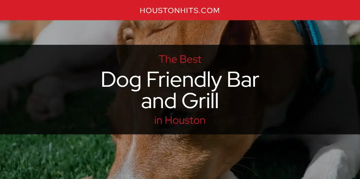 The Absolute Best Dog Friendly Bar and Grill in Houston  [Updated 2024]