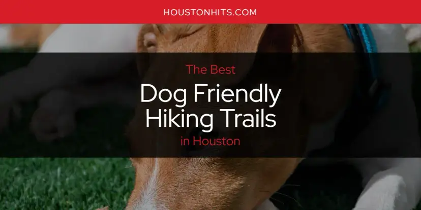 Best Dog Friendly Hiking Trails in Houston? Here's the Top 17