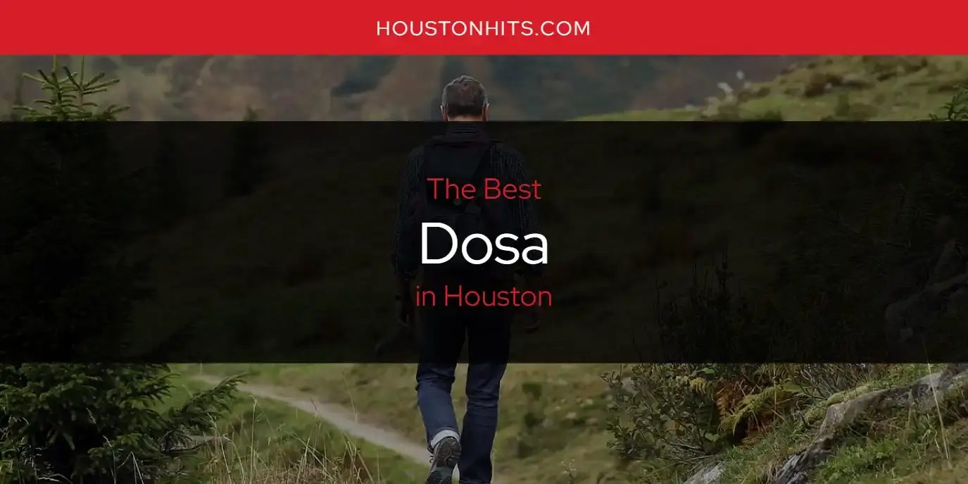 The Absolute Best Dosa in Houston  [Updated 2024]
