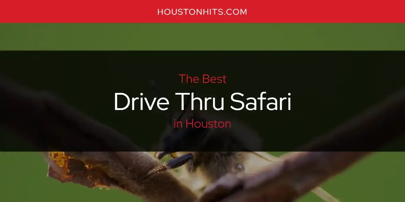 The Absolute Best Drive Thru Safari in Houston  [Updated 2024]