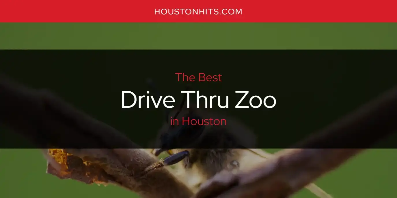 Best Drive Thru Zoo in Houston? Here's the Top 17