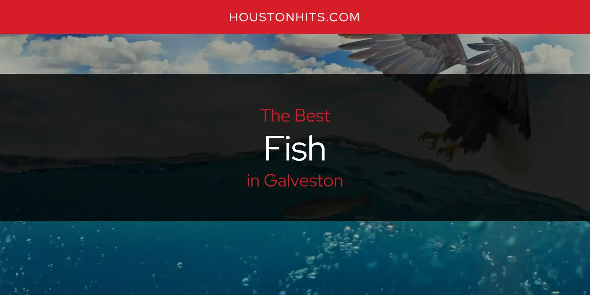 The Absolute Best Fish in Galveston  [Updated 2024]