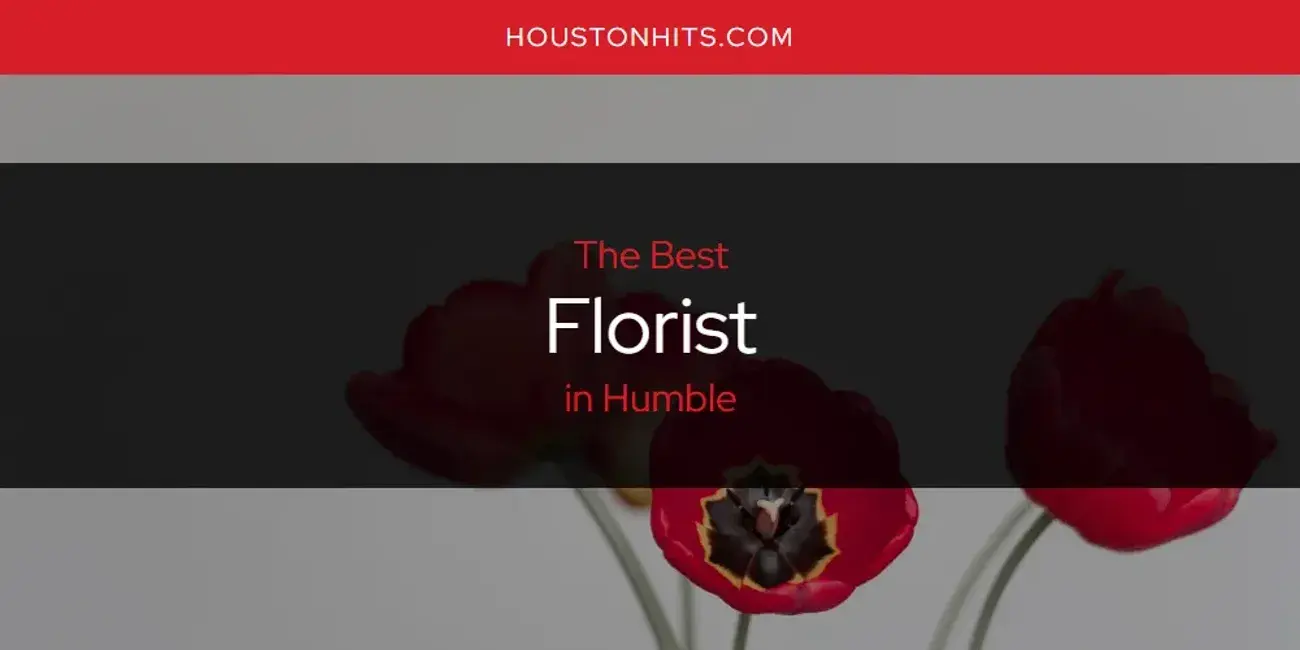 The Absolute Best Florist in Humble  [Updated 2024]