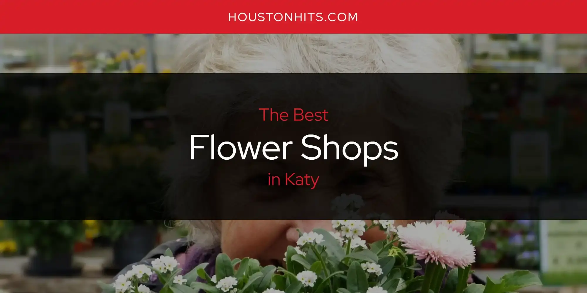 The Absolute Best Flower Shops in Katy  [Updated 2024]
