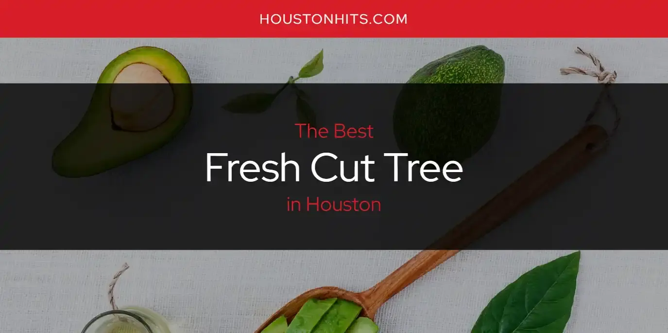 The Absolute Best Fresh Cut Tree in Houston  [Updated 2024]