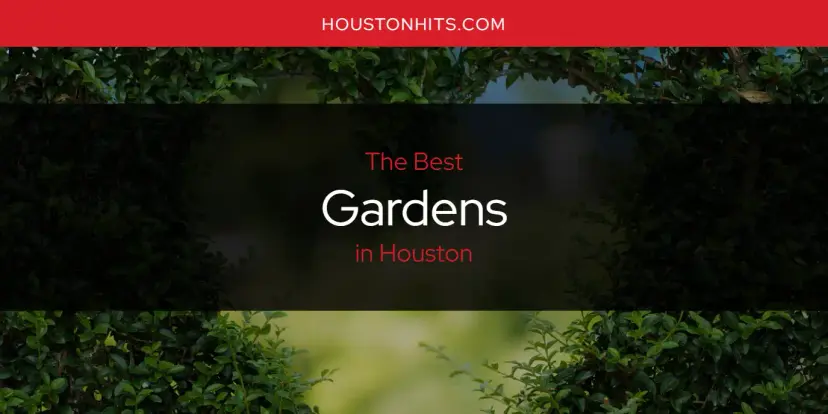 The Absolute Best Gardens in Houston  [Updated 2024]
