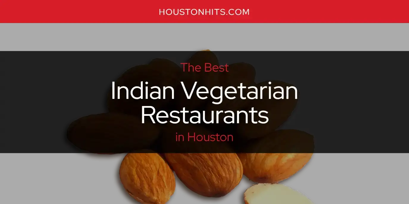 The Absolute Best Indian Vegetarian Restaurants in Houston  [Updated 2024]