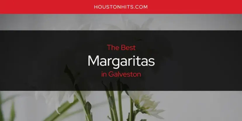 Galveston's Best Margaritas [Updated 2024]