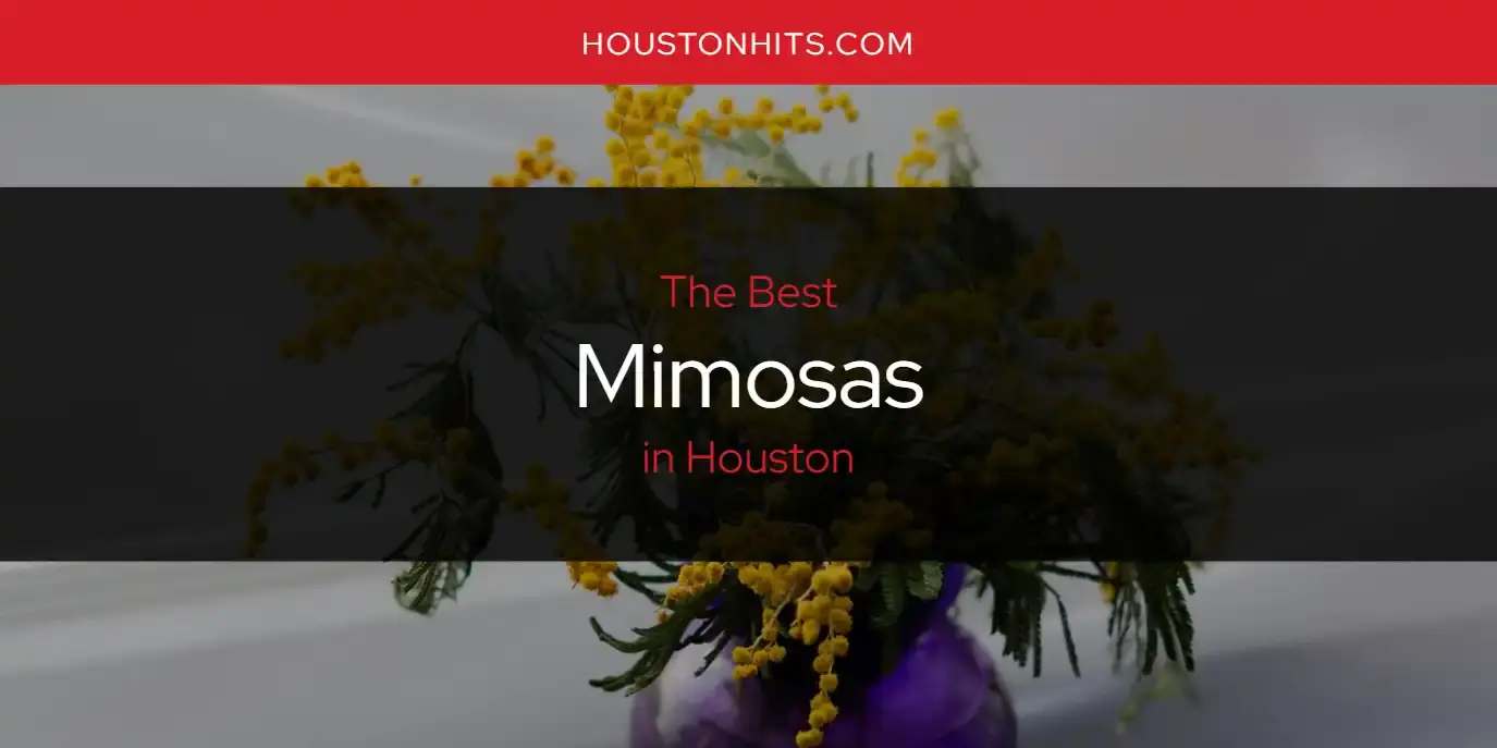 Houston's Best Mimosas [Updated 2024]