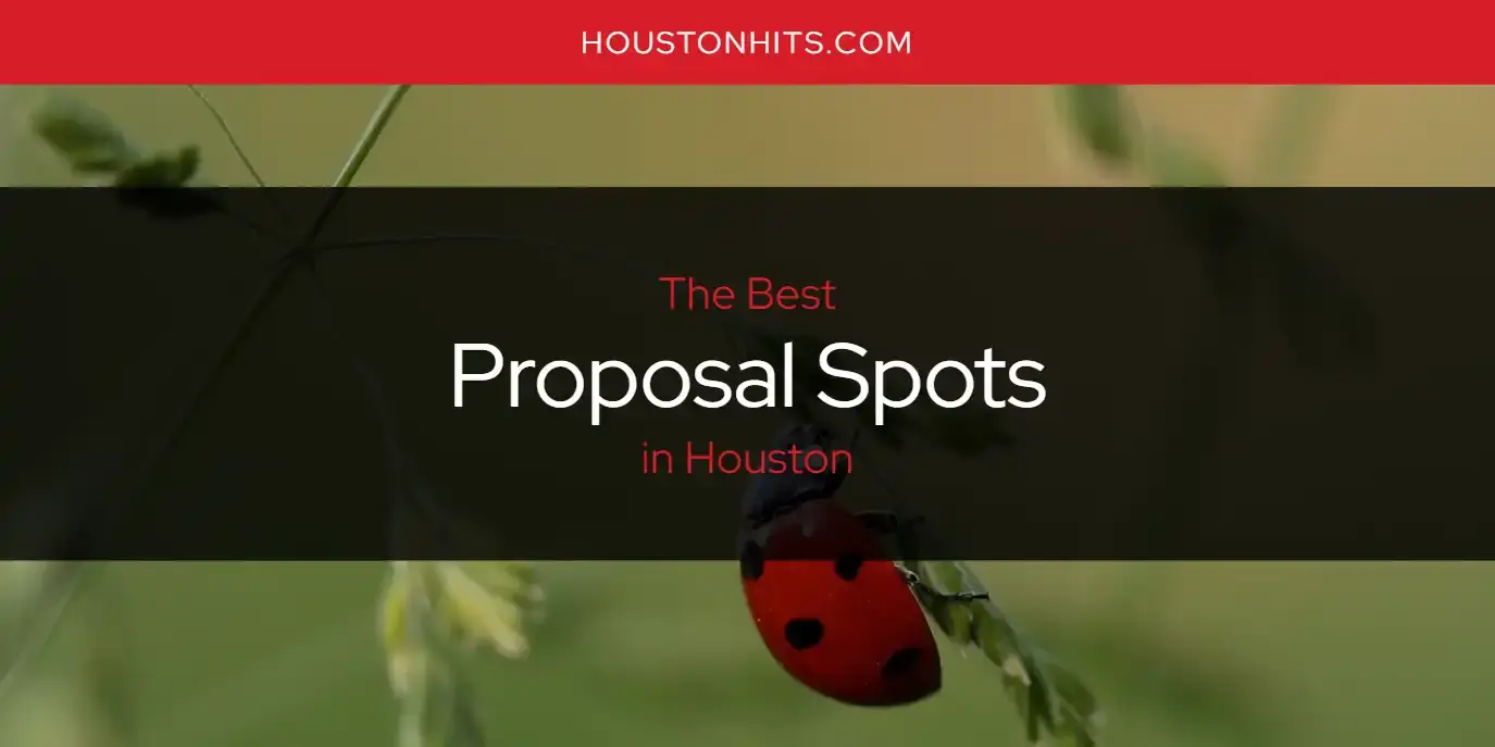 Houston's Best Proposal Spots [Updated 2024]