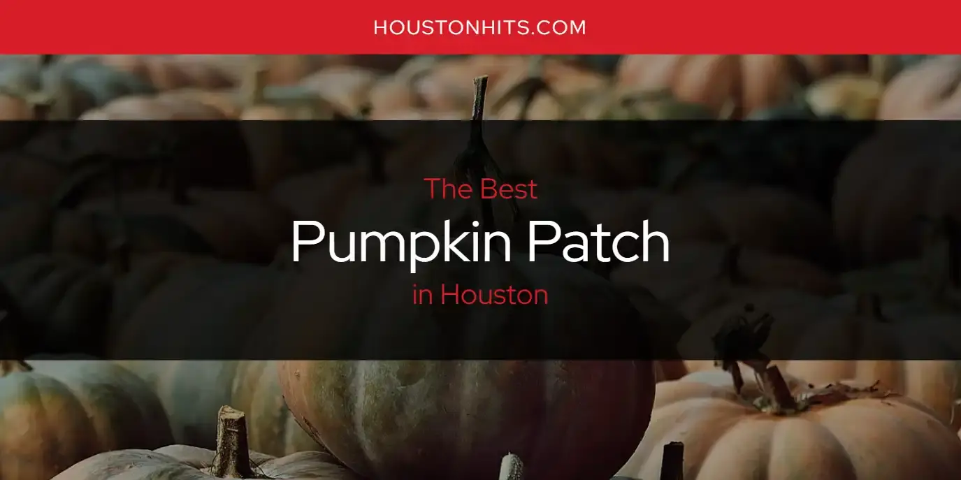 Houston's Best Pumpkin Patch [Updated 2024]