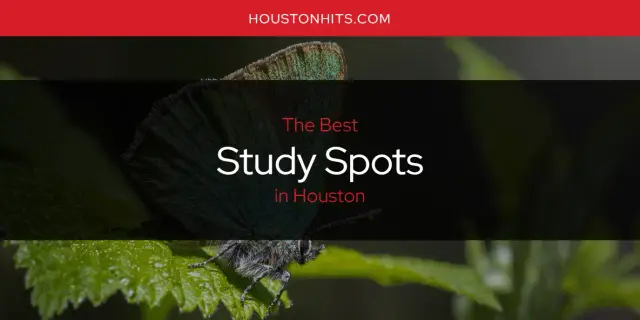 Houston's Best Study Spots [Updated 2023]