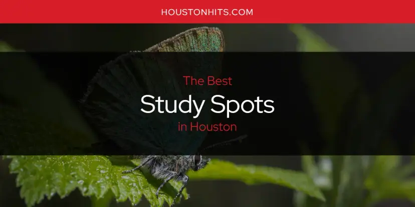 Houston's Best Study Spots [Updated 2024]
