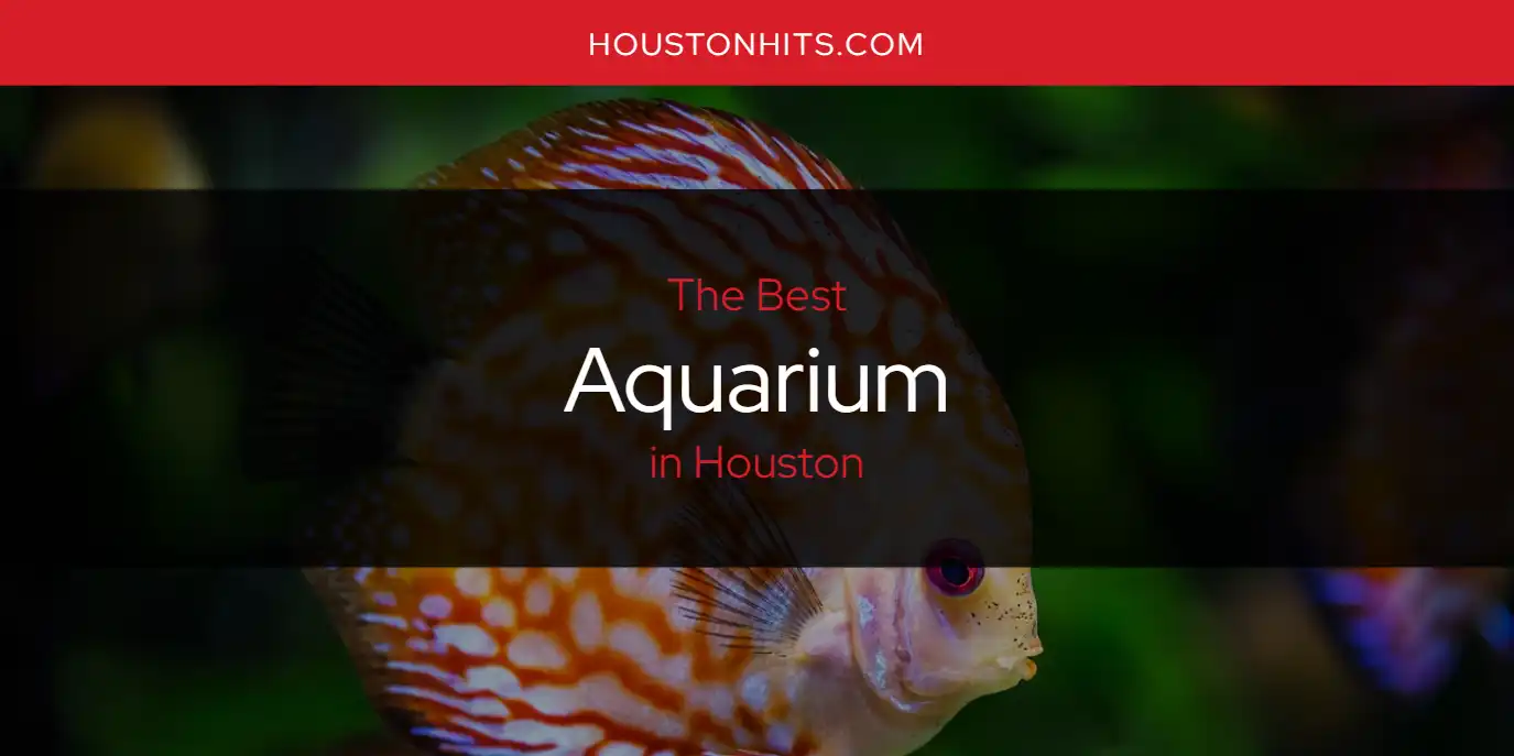 The Absolute Best Aquarium in Houston  [Updated 2025]