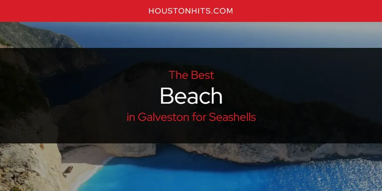 The Absolute Best Beach in Galveston for Seashells  [Updated 2025]