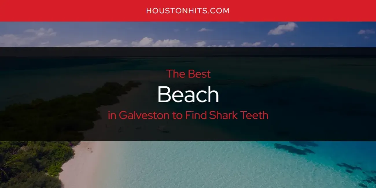 The Absolute Best Beach in Galveston to Find Shark Teeth  [Updated 2025]