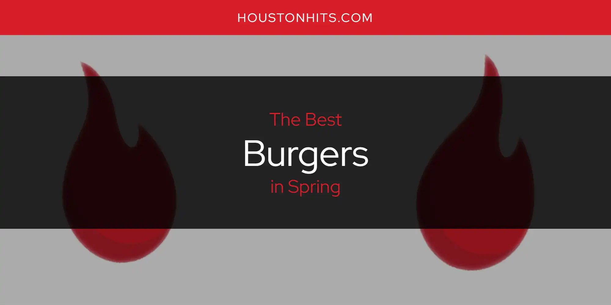 Spring's Best Burgers [Updated 2025]