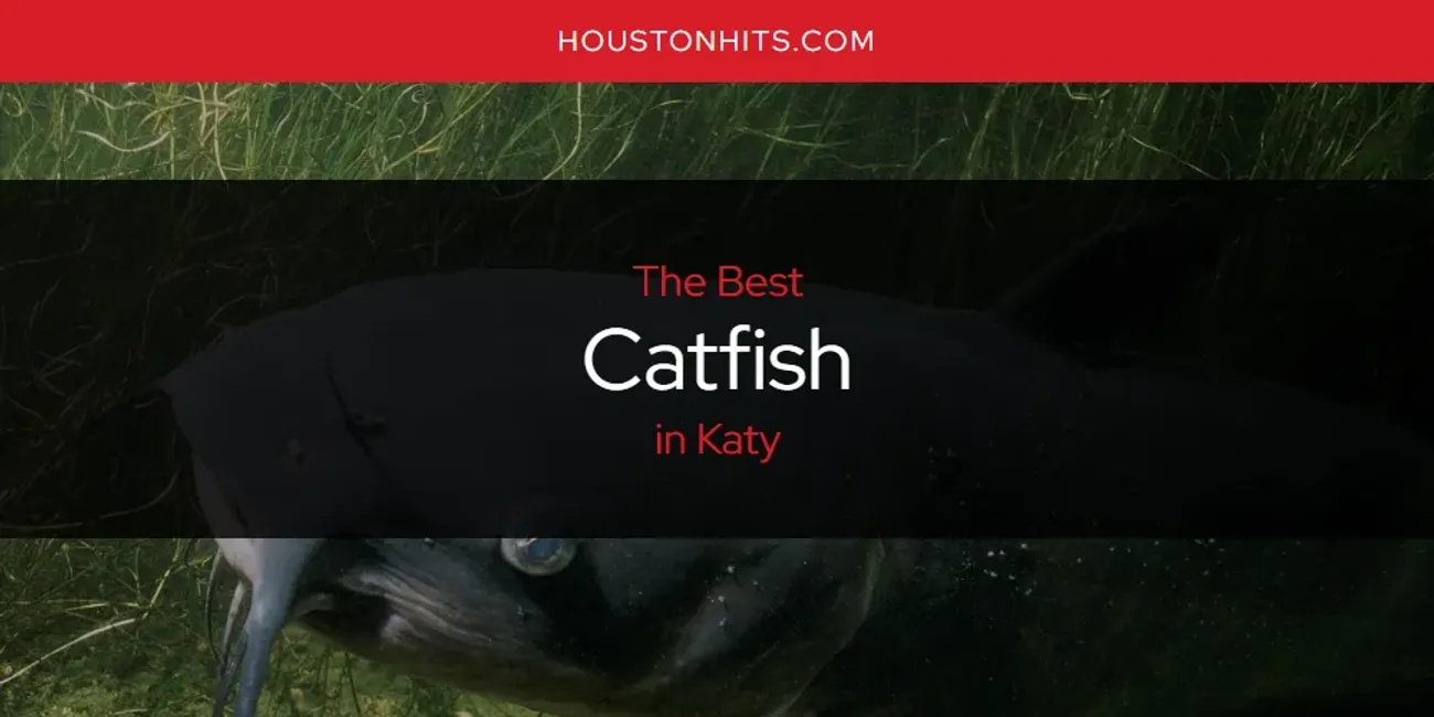 Katy's Best Catfish [Updated 2025]