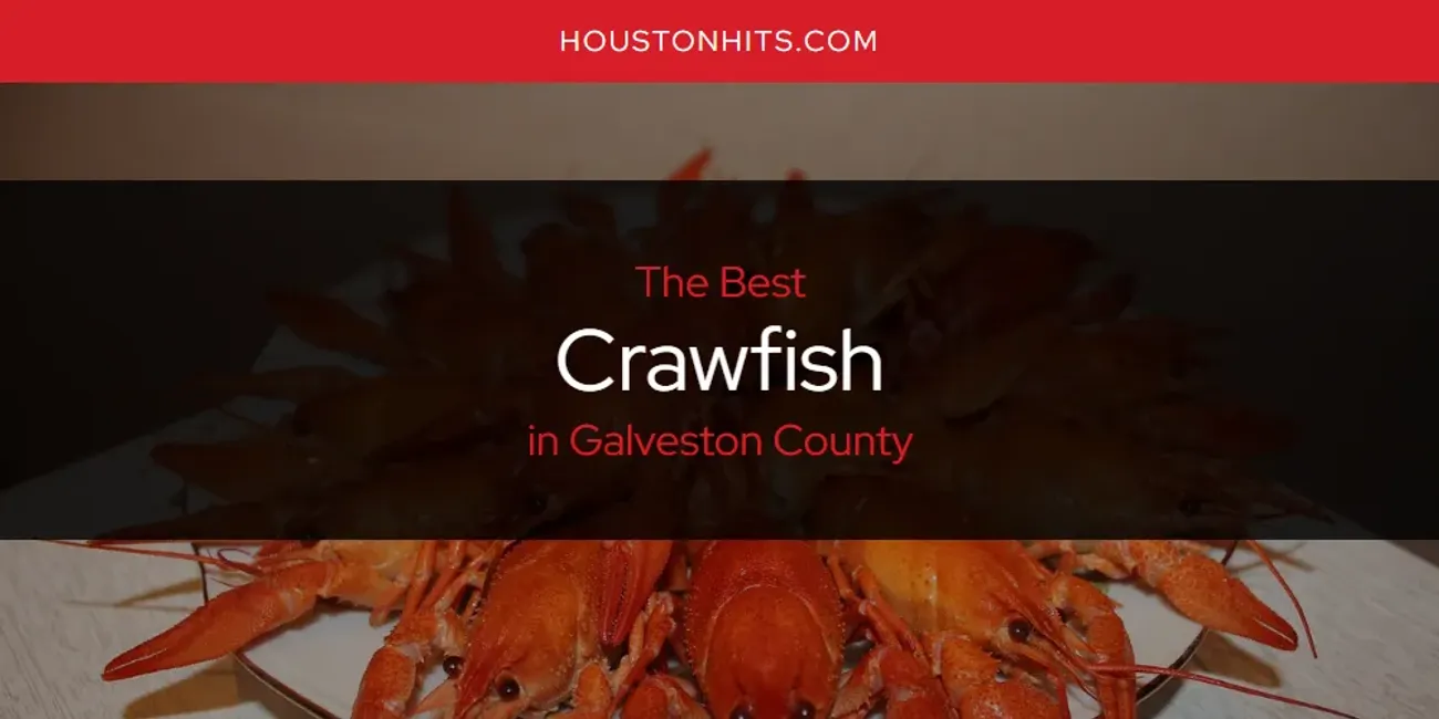 The Absolute Best Crawfish in Galveston County  [Updated 2025]