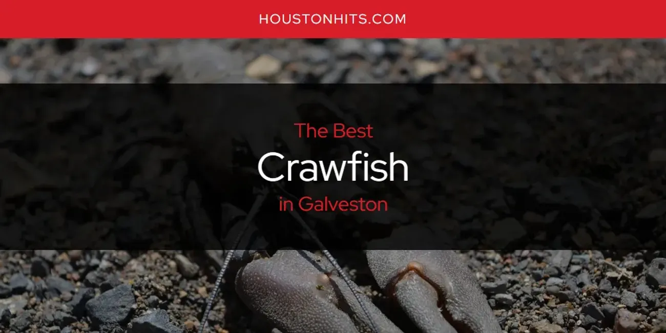 The Absolute Best Crawfish in Galveston  [Updated 2025]