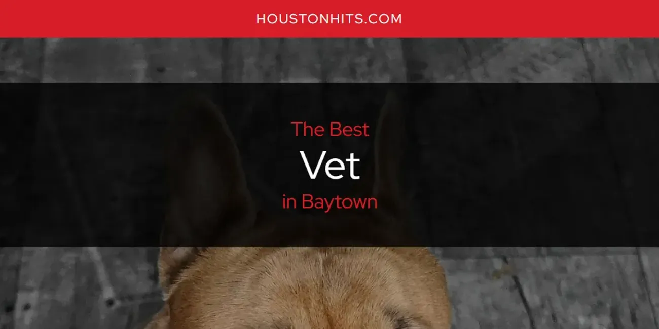 The Absolute Best Vet in Baytown  [Updated 2025]